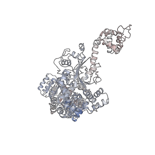 13686_7pzc_H_v1-2
Cryo-EM structure of the NLRP3 decamer bound to the inhibitor CRID3