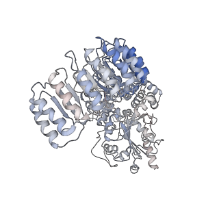 13686_7pzc_I_v1-2
Cryo-EM structure of the NLRP3 decamer bound to the inhibitor CRID3