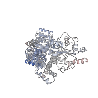 13686_7pzc_J_v1-2
Cryo-EM structure of the NLRP3 decamer bound to the inhibitor CRID3