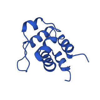 13727_7pzd_G_v1-1
Cryo-EM structure of the NLRP3 PYD filament
