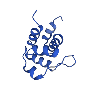 13727_7pzd_H_v1-1
Cryo-EM structure of the NLRP3 PYD filament