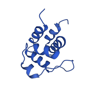 13727_7pzd_M_v1-1
Cryo-EM structure of the NLRP3 PYD filament