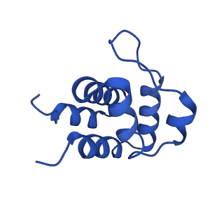 13727_7pzd_N_v1-1
Cryo-EM structure of the NLRP3 PYD filament