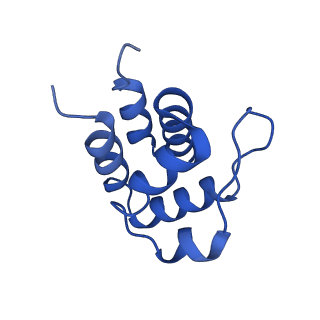 13727_7pzd_P_v1-1
Cryo-EM structure of the NLRP3 PYD filament