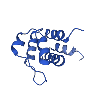 13727_7pzd_R_v1-1
Cryo-EM structure of the NLRP3 PYD filament
