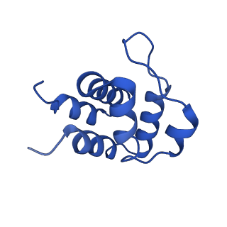13727_7pzd_S_v1-1
Cryo-EM structure of the NLRP3 PYD filament