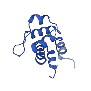 13727_7pzd_T_v1-1
Cryo-EM structure of the NLRP3 PYD filament