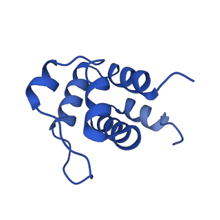 13727_7pzd_W_v1-1
Cryo-EM structure of the NLRP3 PYD filament