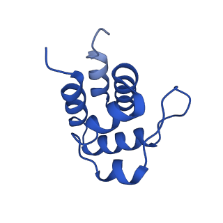 13727_7pzd_X_v1-1
Cryo-EM structure of the NLRP3 PYD filament