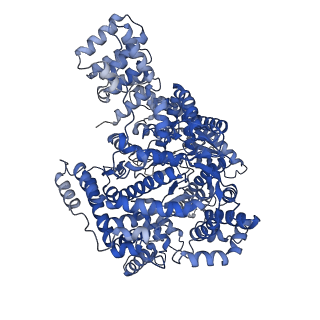 13735_7pzp_A_v1-1
Mitochondrial DNA dependent RNA polymerase homodimer.