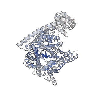 13735_7pzp_B_v1-1
Mitochondrial DNA dependent RNA polymerase homodimer.