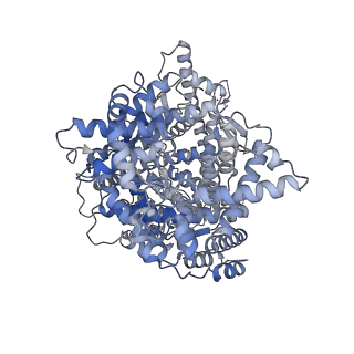 13736_7pzr_A_v1-2
Cryo-EM structure of POLRMT in free form.