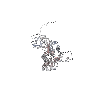 20527_6pz8_A_v1-1
MERS S0 trimer in complex with variable domain of antibody G2