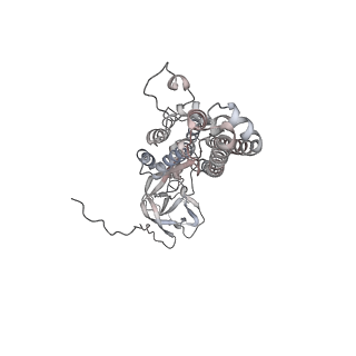 20527_6pz8_E_v2-0
MERS S0 trimer in complex with variable domain of antibody G2