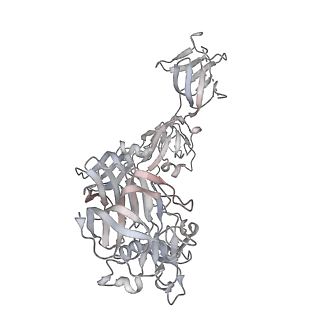 20527_6pz8_F_v1-1
MERS S0 trimer in complex with variable domain of antibody G2