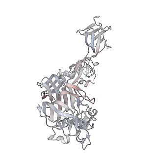 20527_6pz8_F_v2-0
MERS S0 trimer in complex with variable domain of antibody G2