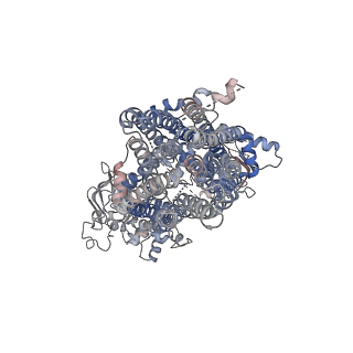20528_6pz9_C_v1-2
Cryo-EM structure of the pancreatic beta-cell SUR1 bound to ATP and repaglinide