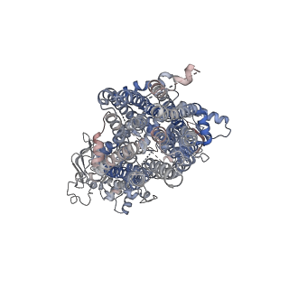 20528_6pz9_C_v1-3
Cryo-EM structure of the pancreatic beta-cell SUR1 bound to ATP and repaglinide