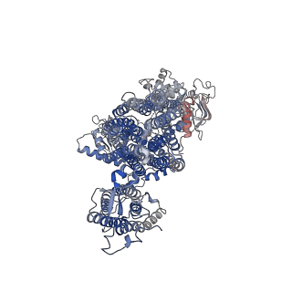 20530_6pza_C_v1-2
Cryo-EM structure of the pancreatic beta-cell SUR1 bound to ATP and glibenclamide