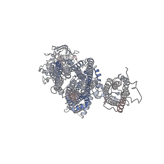 20533_6pzb_G_v1-2
Cryo-EM structure of the pancreatic beta-cell SUR1 Apo state