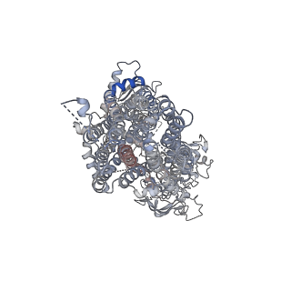 20534_6pzc_H_v1-2
Cryo-EM structure of the pancreatic beta-cell SUR1 bound to carbamazepine