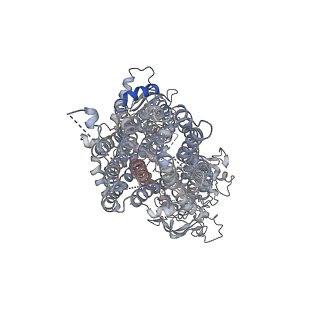 20534_6pzc_H_v1-3
Cryo-EM structure of the pancreatic beta-cell SUR1 bound to carbamazepine