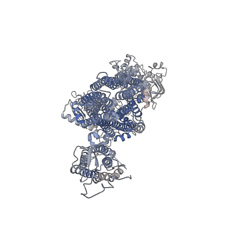 20535_6pzi_G_v1-2
Cryo-EM structure of the pancreatic beta-cell SUR1 bound to ATP only