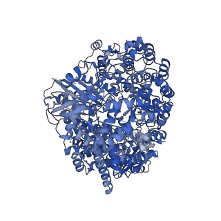 20536_6pzk_A_v1-1
Cryo-EM Structure of the Respiratory Syncytial Virus Polymerase (L) Protein Bound by the Tetrameric Phosphoprotein (P)