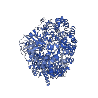 20536_6pzk_A_v1-2
Cryo-EM Structure of the Respiratory Syncytial Virus Polymerase (L) Protein Bound by the Tetrameric Phosphoprotein (P)