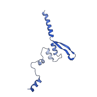 20536_6pzk_B_v1-1
Cryo-EM Structure of the Respiratory Syncytial Virus Polymerase (L) Protein Bound by the Tetrameric Phosphoprotein (P)
