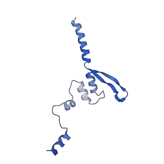 20536_6pzk_B_v1-2
Cryo-EM Structure of the Respiratory Syncytial Virus Polymerase (L) Protein Bound by the Tetrameric Phosphoprotein (P)
