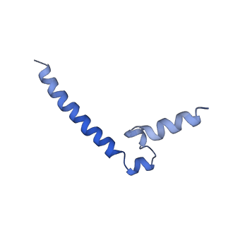 20536_6pzk_C_v1-2
Cryo-EM Structure of the Respiratory Syncytial Virus Polymerase (L) Protein Bound by the Tetrameric Phosphoprotein (P)