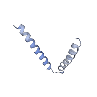 20536_6pzk_D_v1-1
Cryo-EM Structure of the Respiratory Syncytial Virus Polymerase (L) Protein Bound by the Tetrameric Phosphoprotein (P)