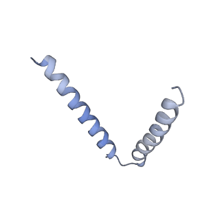 20536_6pzk_D_v1-2
Cryo-EM Structure of the Respiratory Syncytial Virus Polymerase (L) Protein Bound by the Tetrameric Phosphoprotein (P)