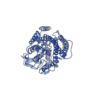 20537_6pzt_A_v1-0
cryo-EM structure of human NKCC1