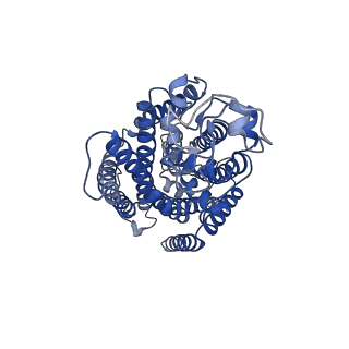 20537_6pzt_B_v1-0
cryo-EM structure of human NKCC1