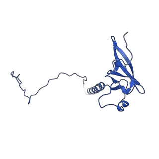 13741_7q08_2_v1-1
Structure of Candida albicans 80S ribosome in complex with cycloheximide