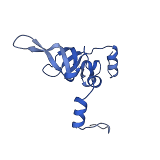 13741_7q08_9_v1-1
Structure of Candida albicans 80S ribosome in complex with cycloheximide