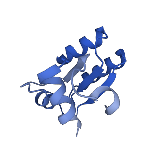 13741_7q08_AD_v1-1
Structure of Candida albicans 80S ribosome in complex with cycloheximide
