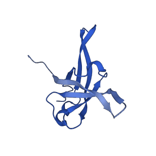 13741_7q08_AG_v1-1
Structure of Candida albicans 80S ribosome in complex with cycloheximide