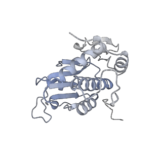 13741_7q08_B_v1-1
Structure of Candida albicans 80S ribosome in complex with cycloheximide