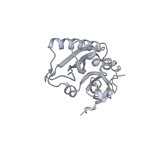 13741_7q08_C_v1-1
Structure of Candida albicans 80S ribosome in complex with cycloheximide