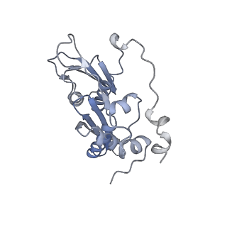 13741_7q08_D_v1-1
Structure of Candida albicans 80S ribosome in complex with cycloheximide