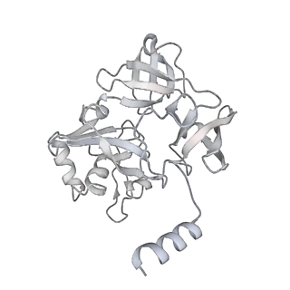 13741_7q08_F_v1-1
Structure of Candida albicans 80S ribosome in complex with cycloheximide