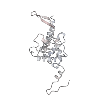 13741_7q08_G_v1-1
Structure of Candida albicans 80S ribosome in complex with cycloheximide