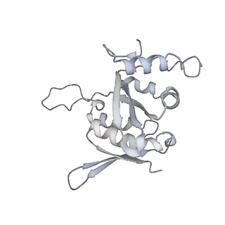 13741_7q08_I_v1-1
Structure of Candida albicans 80S ribosome in complex with cycloheximide