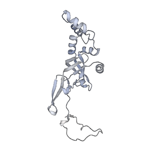 13741_7q08_J_v1-1
Structure of Candida albicans 80S ribosome in complex with cycloheximide