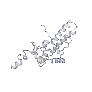 13741_7q08_K_v1-1
Structure of Candida albicans 80S ribosome in complex with cycloheximide