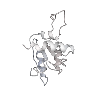 13741_7q08_N_v1-1
Structure of Candida albicans 80S ribosome in complex with cycloheximide