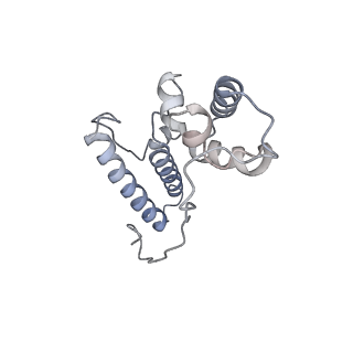 13741_7q08_O_v1-1
Structure of Candida albicans 80S ribosome in complex with cycloheximide
